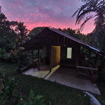 Cabana Maquique - San Vito Villa San Ramon  Esterno foto