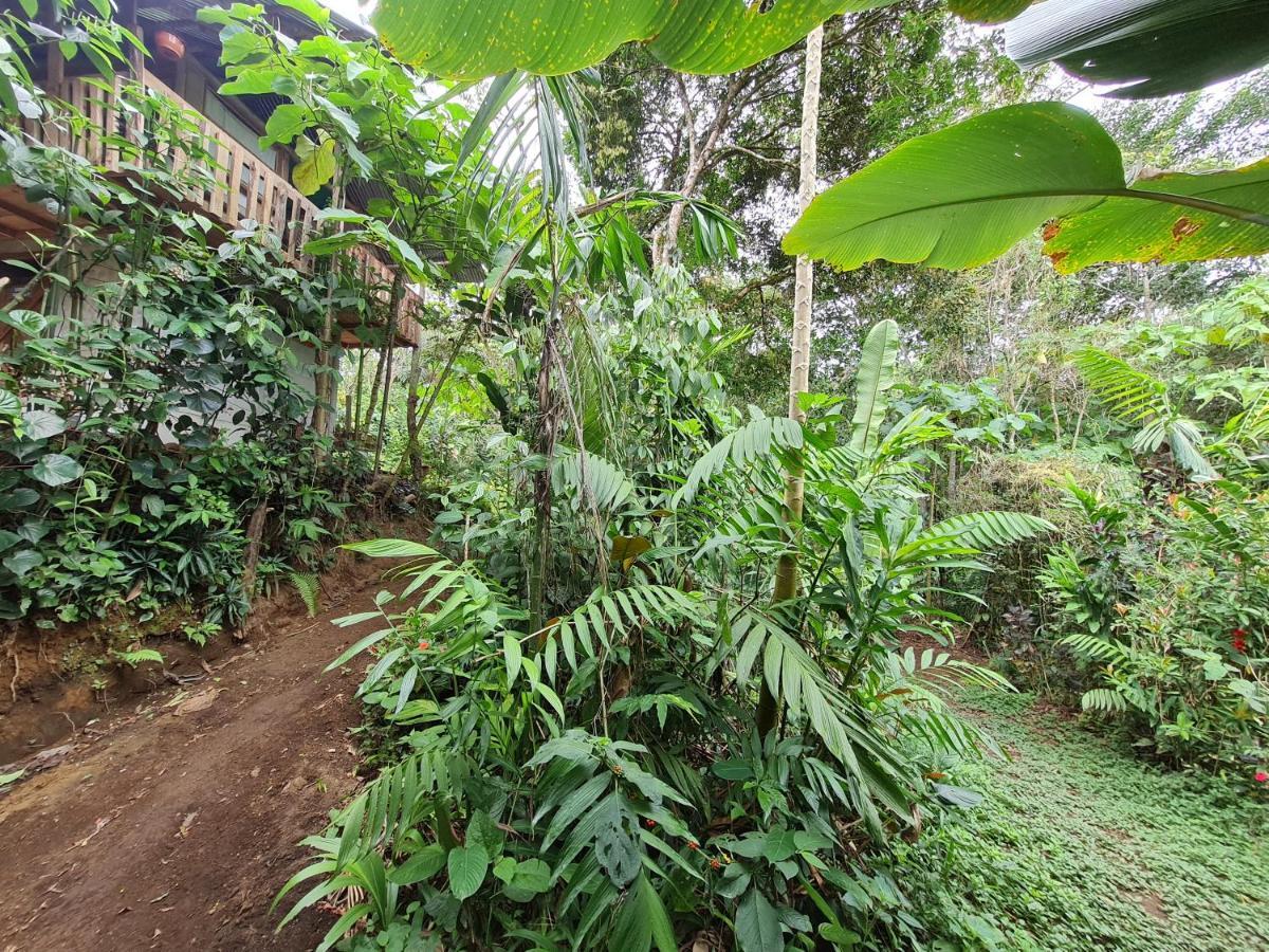 Cabana Maquique - San Vito Villa San Ramon  Esterno foto